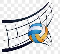 种子球员稳定发挥